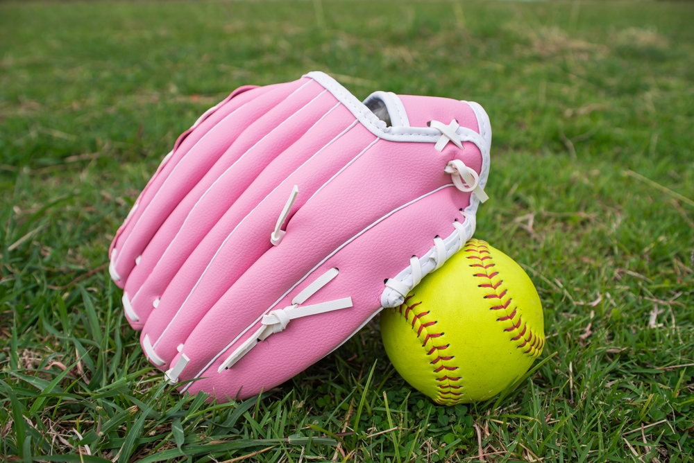 Dog in a bag on artificial grass - Orion Turf and Landscape